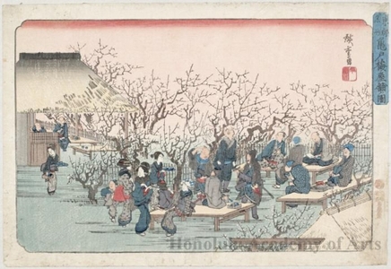 Utagawa Hiroshige: Japanese Plum Garden Estate, Kameido - Honolulu Museum of Art