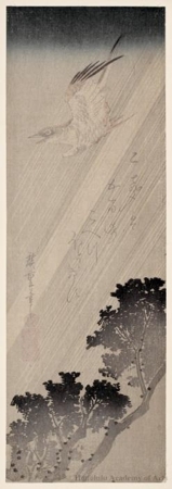 Utagawa Hiroshige: A Cuckoo Flying through the Rain - Honolulu Museum of Art