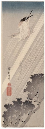 Utagawa Hiroshige: A Cuckoo Flying through the Rain - Honolulu Museum of Art