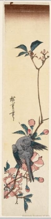 Utagawa Hiroshige: Bird on Cherry Branch (Descriptive Title) - Honolulu Museum of Art