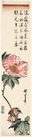 Utagawa Hiroshige: Red Hibiscus - Honolulu Museum of Art