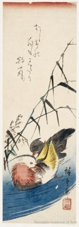 Utagawa Hiroshige: Mandarin Ducks and Grasses (Descriptive Title) - Honolulu Museum of Art
