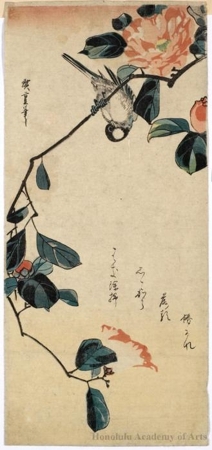 Utagawa Hiroshige: A Titmouse Hanging Head Downward on a Camellia Branch - Honolulu Museum of Art