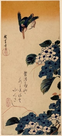 Utagawa Hiroshige: Hydrangeas and Kingfisher - Honolulu Museum of Art