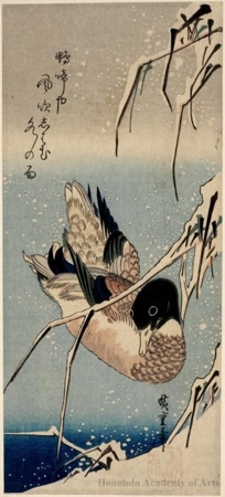 歌川広重: Duck in Snow - ホノルル美術館