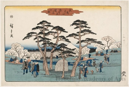 Utagawa Hiroshige: Flowers in Full Bloom at Asuka Mountain - Honolulu Museum of Art