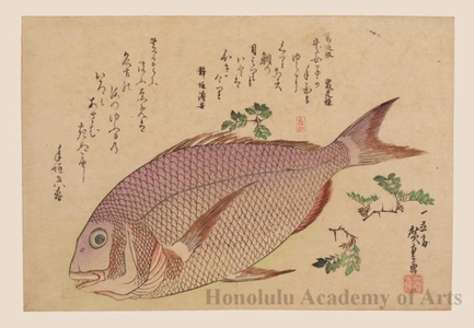 Utagawa Hiroshige: Snapper and Japanese Pepper - Honolulu Museum of Art