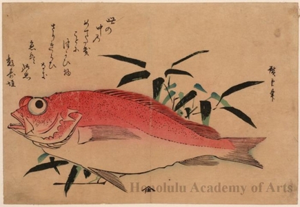 Utagawa Hiroshige: Rosefish & Bomboo Grass - Honolulu Museum of Art