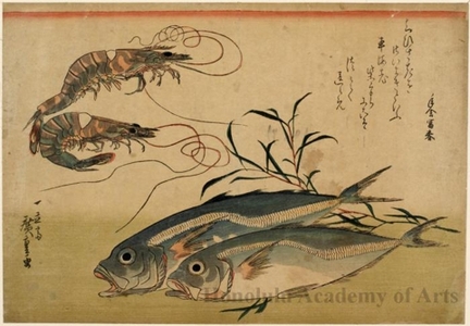 Utagawa Hiroshige: Horse-Mackkerel andd Prawns - Honolulu Museum of Art