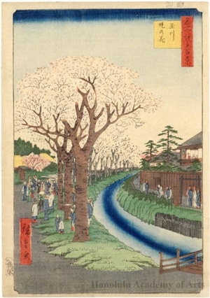 Utagawa Hiroshige: Blossoms on the Tama River Embankment - Honolulu Museum of Art