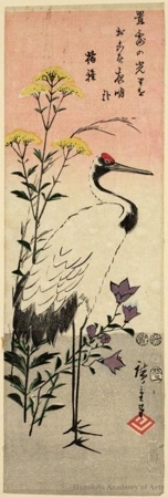 歌川広重: Crane and Platycodon and Yellow Flowers (Descriptive Title) - ホノルル美術館