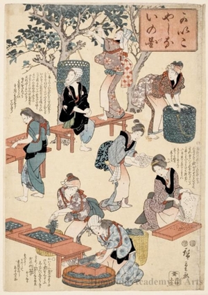 Utagawa Hiroshige: Women Silk Culture / Women Performing Tasks in Silk Cloth Production (Descriptive Title) - Honolulu Museum of Art