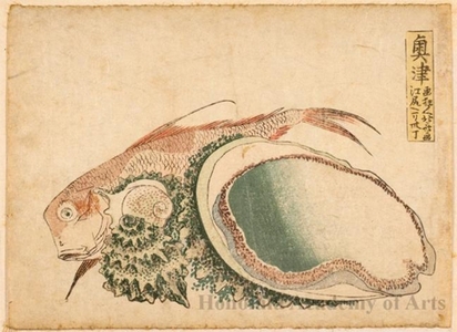 Katsushika Hokusai: Okitsu 1.83 Ri to Eijiri - Honolulu Museum of Art