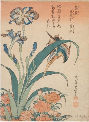 Katsushika Hokusai: Kingfisher with Iris and Pinks - Honolulu Museum of Art