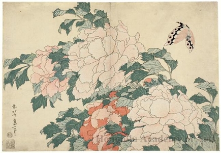 Katsushika Hokusai: Peonies and Butterfly - Honolulu Museum of Art