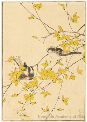 今尾景年: Birds in Yellow Bush (descriptive title) - ホノルル美術館