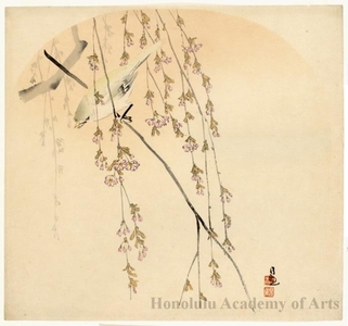 小林清親: Bird and Cherry Blossoms (Descriptive title) - ホノルル美術館