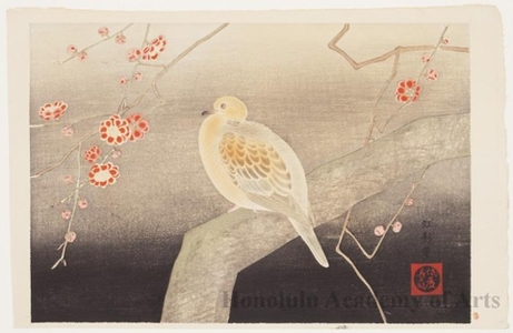 Ikeda Köei: Pidgeon on Plum Tree Branch (Descriptive Title) - Honolulu Museum of Art