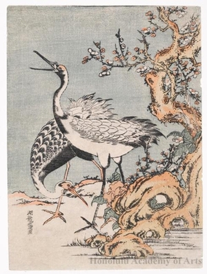 Isoda Koryusai: Two Cranes Under A Flowering Plum - Honolulu Museum of Art