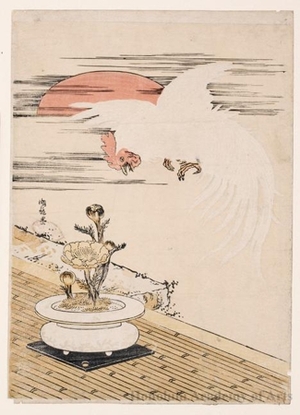 Isoda Koryusai: The White Rooster - Honolulu Museum of Art