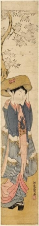 Isoda Koryusai: Young Girl Viewing Cherry Blossoms - Honolulu Museum of Art