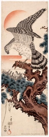 Utagawa Kuniyoshi: Hawk - Honolulu Museum of Art