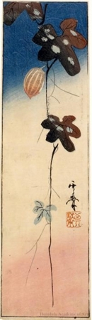 Kawanabe Kyosai: Hanging Gourd Vine (Descriptive Title) - Honolulu Museum of Art