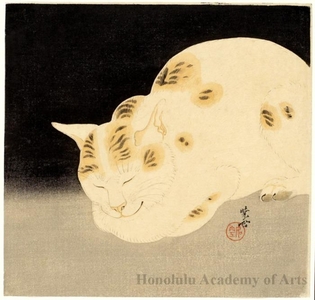 河鍋暁斎: Sleeping Cat - ホノルル美術館