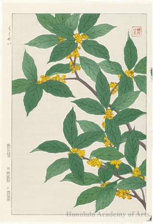Kawarazaki Shödö: Fragrant Olive - ホノルル美術館