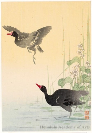 Itö Sözan: Two Black Geese - ホノルル美術館
