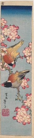 Katsushika Taito II: Birds on a Cherry Branch - Honolulu Museum of Art