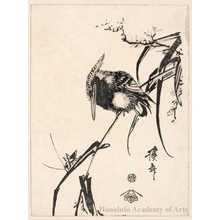 渓斉英泉: Kingfisher and Grasshopper - ホノルル美術館