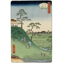 Utagawa Hiroshige II: Iris Fields at Horikiri - Honolulu Museum of Art