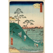 Utagawa Hiroshige II: Iris Fields at Horikiri - Honolulu Museum of Art