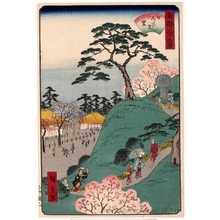 Utagawa Hiroshige II: Nippori Village - Honolulu Museum of Art