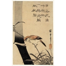 歌川広重: Sparrow and Bamboo - ホノルル美術館