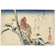 Utagawa Hiroshige: Kingfisher and Yellow Blossoms (Descriptive Title) - Honolulu Museum of Art