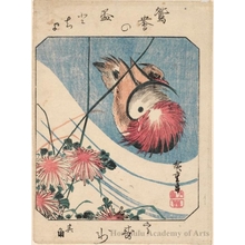 Utagawa Hiroshige: Two Mandarin Ducks and Chrysanthemums (Descriptive Title) - Honolulu Museum of Art