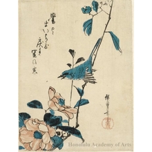 Utagawa Hiroshige: Nightingale and Hibiscus - Honolulu Museum of Art