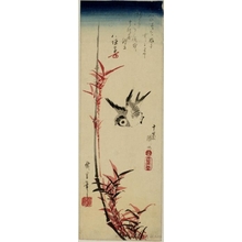 歌川広重: Sparrow and Bamboo - ホノルル美術館