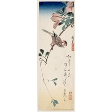 Utagawa Hiroshige: Java Sparrow and Magnolia - Honolulu Museum of Art