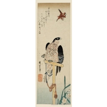 Utagawa Hiroshige: A Tethered Falcon Eyeing a Sparrow - Honolulu Museum of Art