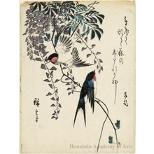 Utagawa Hiroshige: Swallows and Wisteria Branch (Descriptive Title) - Honolulu Museum of Art