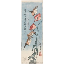 Utagawa Hiroshige: Sparrows and Poppies - Honolulu Museum of Art