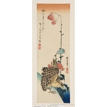 Utagawa Hiroshige: Quail and Poppy - Honolulu Museum of Art