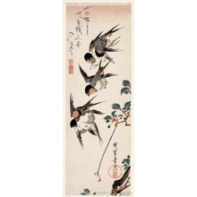 歌川広重: Five Swallows in Flight above a Branch of Cherry (the blossoms having gone to seed) - ホノルル美術館