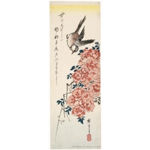 Utagawa Hiroshige: Rose and Japanese Wagtail - Honolulu Museum of Art
