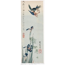 歌川広重: Kingfisher and Iris - ホノルル美術館