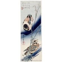 Utagawa Hiroshige: Reed and Wild Ducks - Honolulu Museum of Art