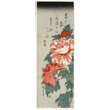 Utagawa Hiroshige: Red Peonies - Honolulu Museum of Art